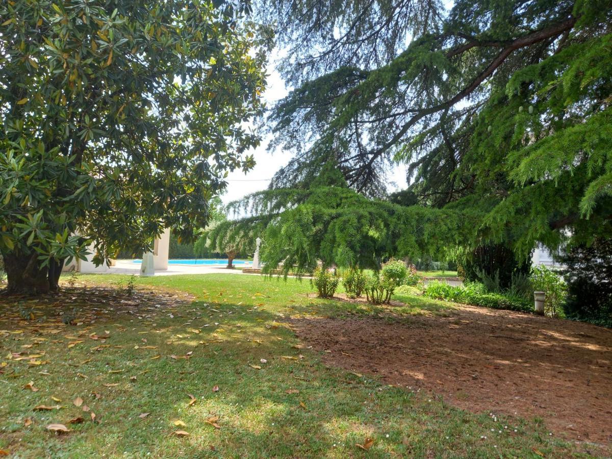 Sainte-Livrade-sur-Lot La Maison Basque מראה חיצוני תמונה