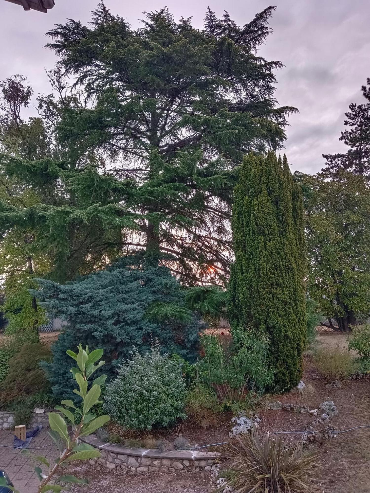 Sainte-Livrade-sur-Lot La Maison Basque מראה חיצוני תמונה